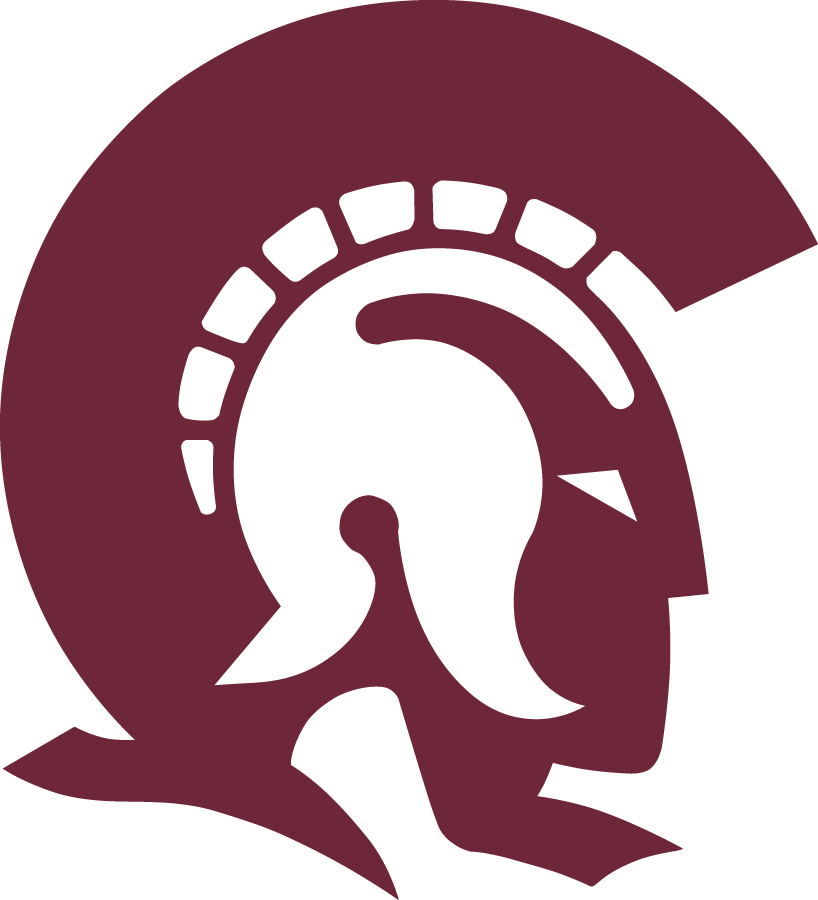 Little Rock Trojans 2015-Pres Secondary Logo v2 diy fabric transfer